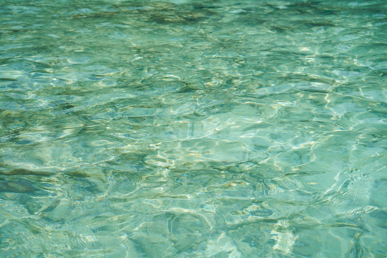 ¿Cómo se diluye el barniz al agua?